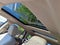2013 Ford Edge 4dr SEL FWD