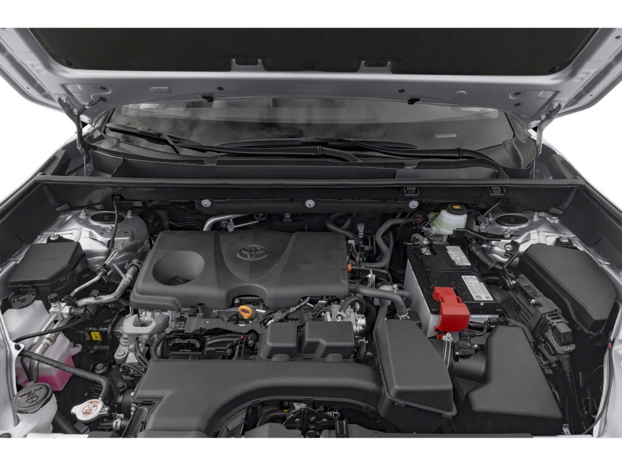 2025 Toyota RAV4 XLE Premium AWD (Natl)