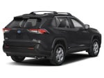 2023 Toyota RAV4 Hybrid XLE Premium AWD (Natl)