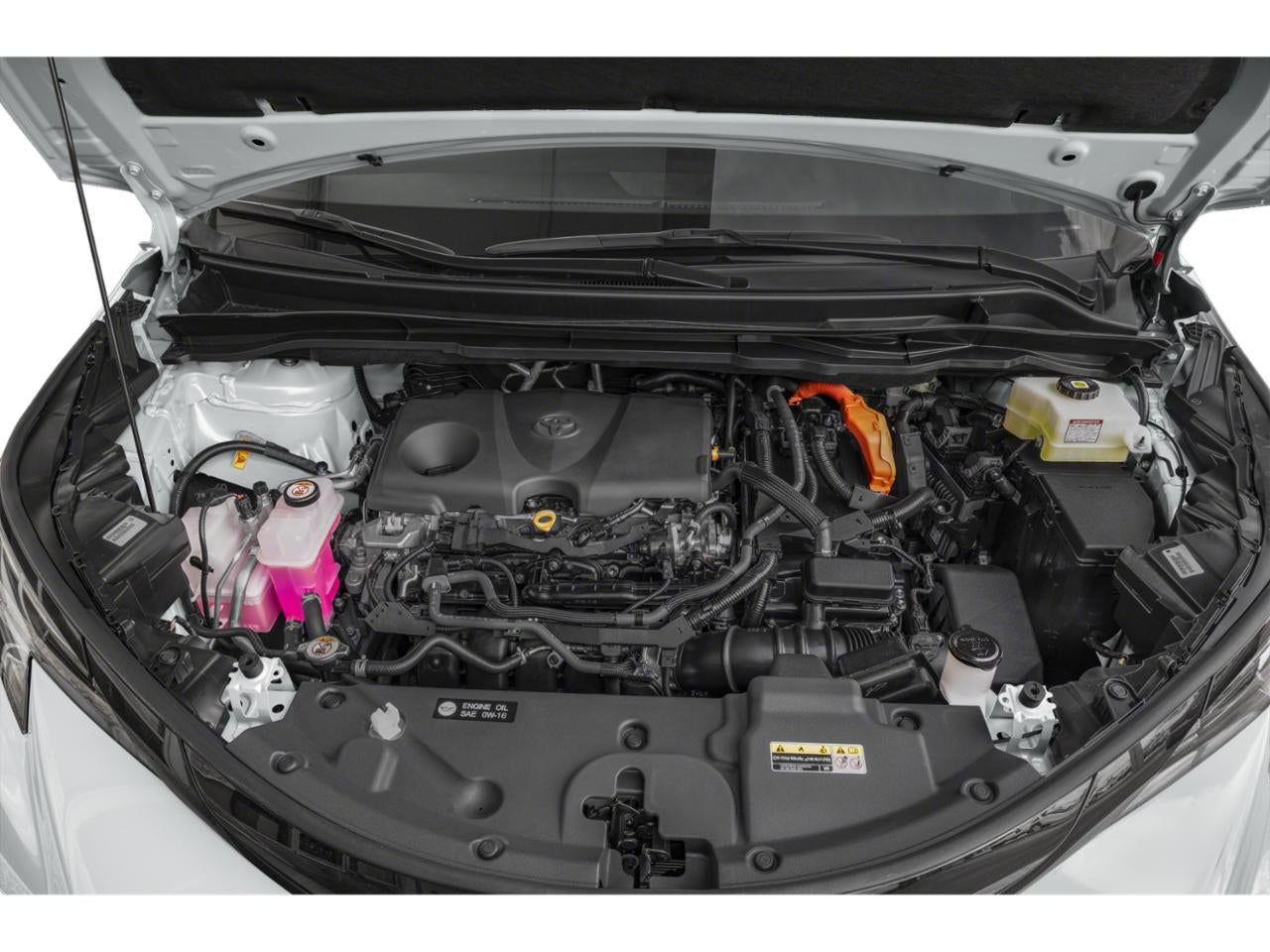 2025 Toyota Sienna XSE FWD 7-Passenger (Natl)