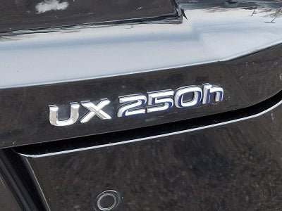 2021 Lexus UX 250h AWD