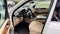 2019 Mercedes-Benz GLS GLS 450 4MATIC® SUV