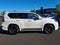 2023 Lexus GX 460 Premium 4WD