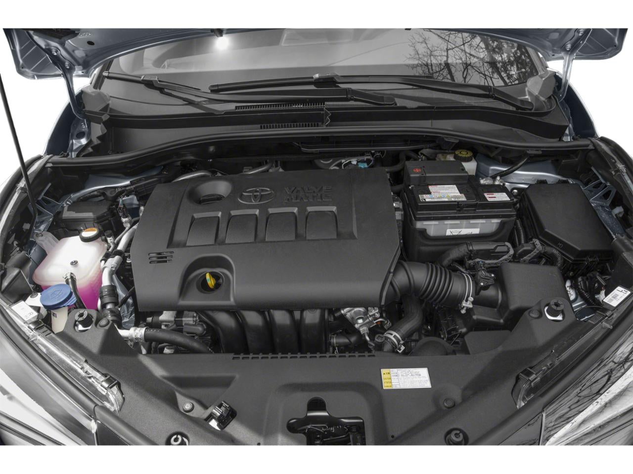 2018 Toyota C-HR XLE FWD (Natl)