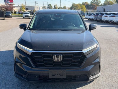 2024 Honda CR-V EX-L AWD