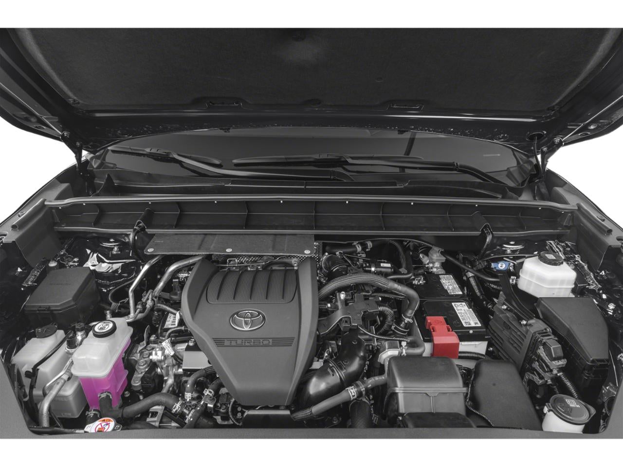 2025 Toyota Highlander XLE AWD (Natl)