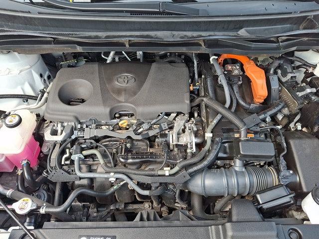 2021 Toyota Sienna XLE AWD 7-Passenger (Natl)