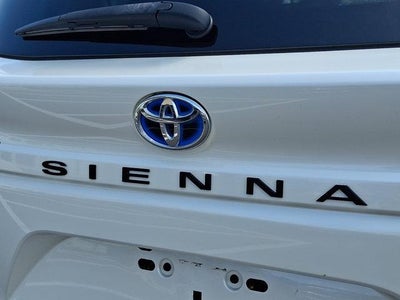 2021 Toyota Sienna XLE AWD 7-Passenger (Natl)